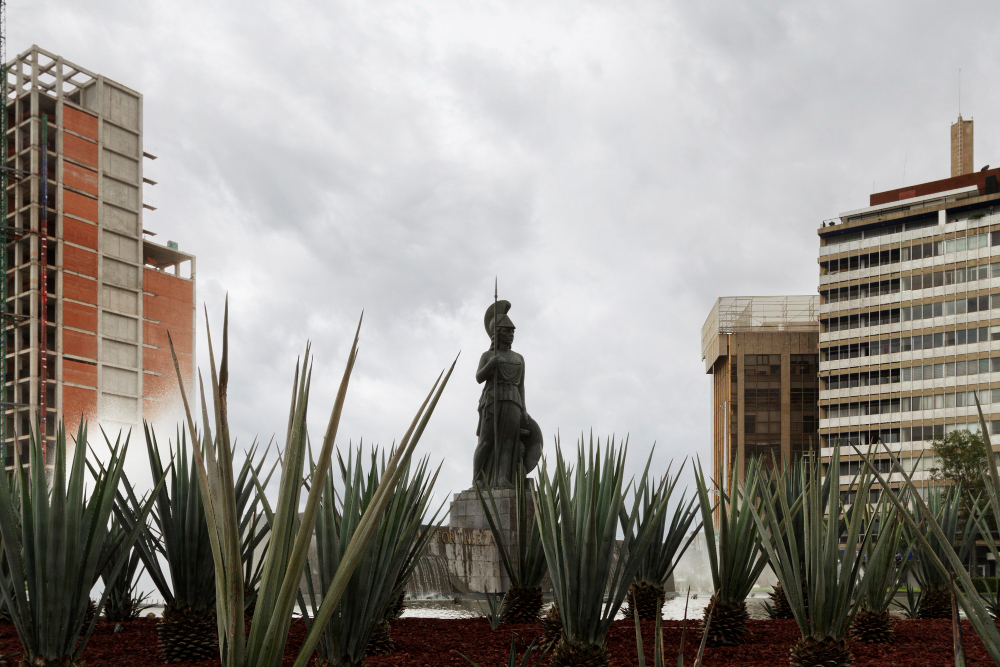 Vida en mexico paisaje con plantas.